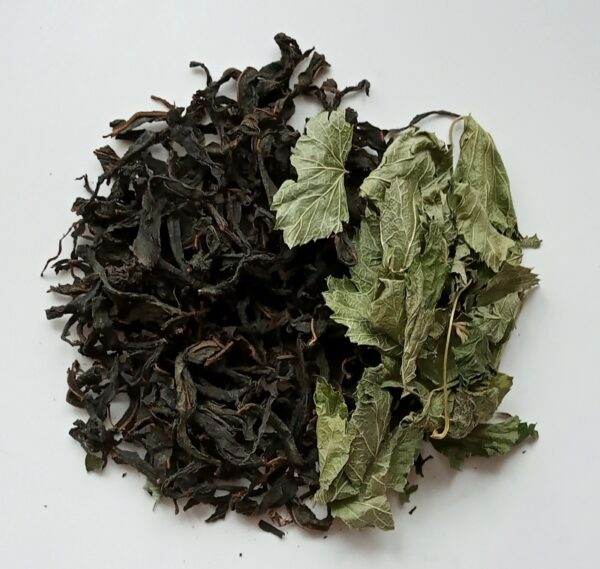 Ivan Tea leaf  with  black currant leaves